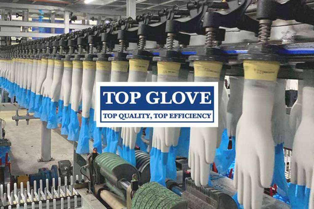 Glove share price top Top Glove